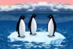 Thumbnail of Turbo Charged Penguins